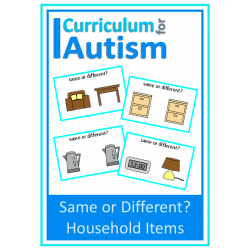 Household Items Same or Different Flash Cards for Visual Discrimination